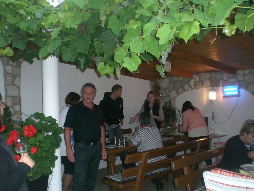 Feldsee Apartment *