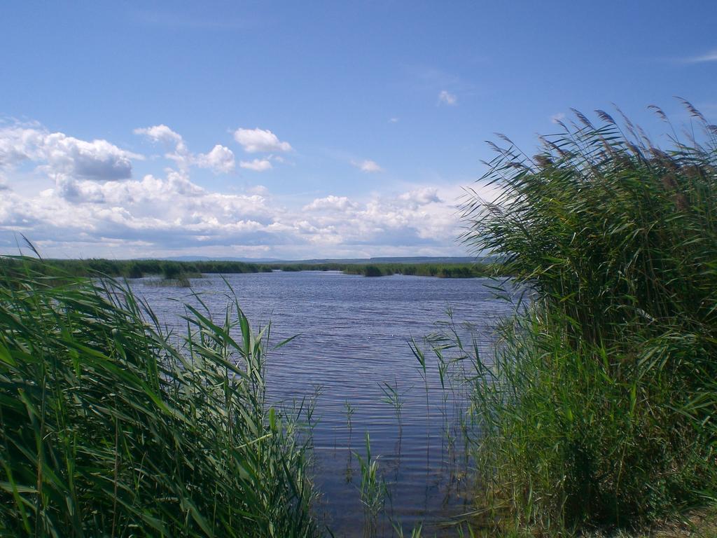 Apartment Feldsee