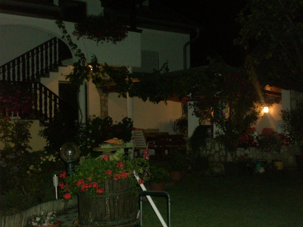 Apartment Feldsee *