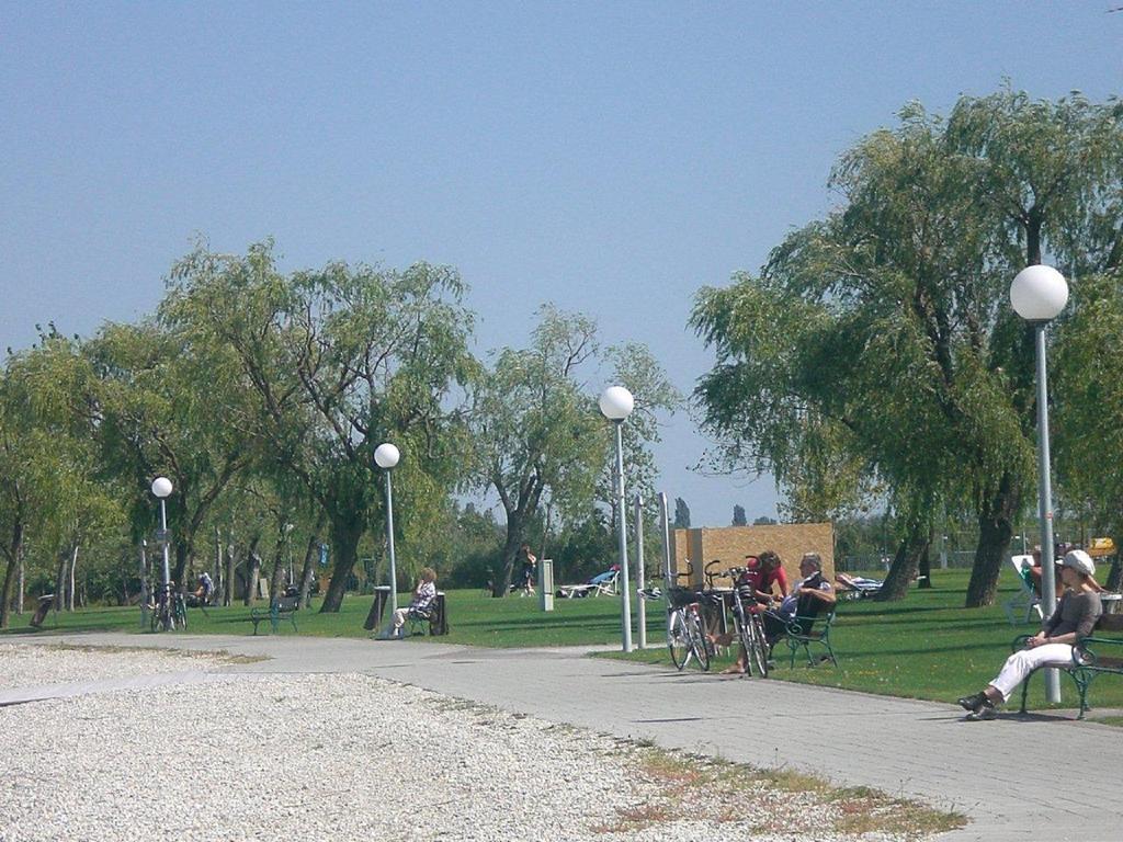 Feldsee Illmitz