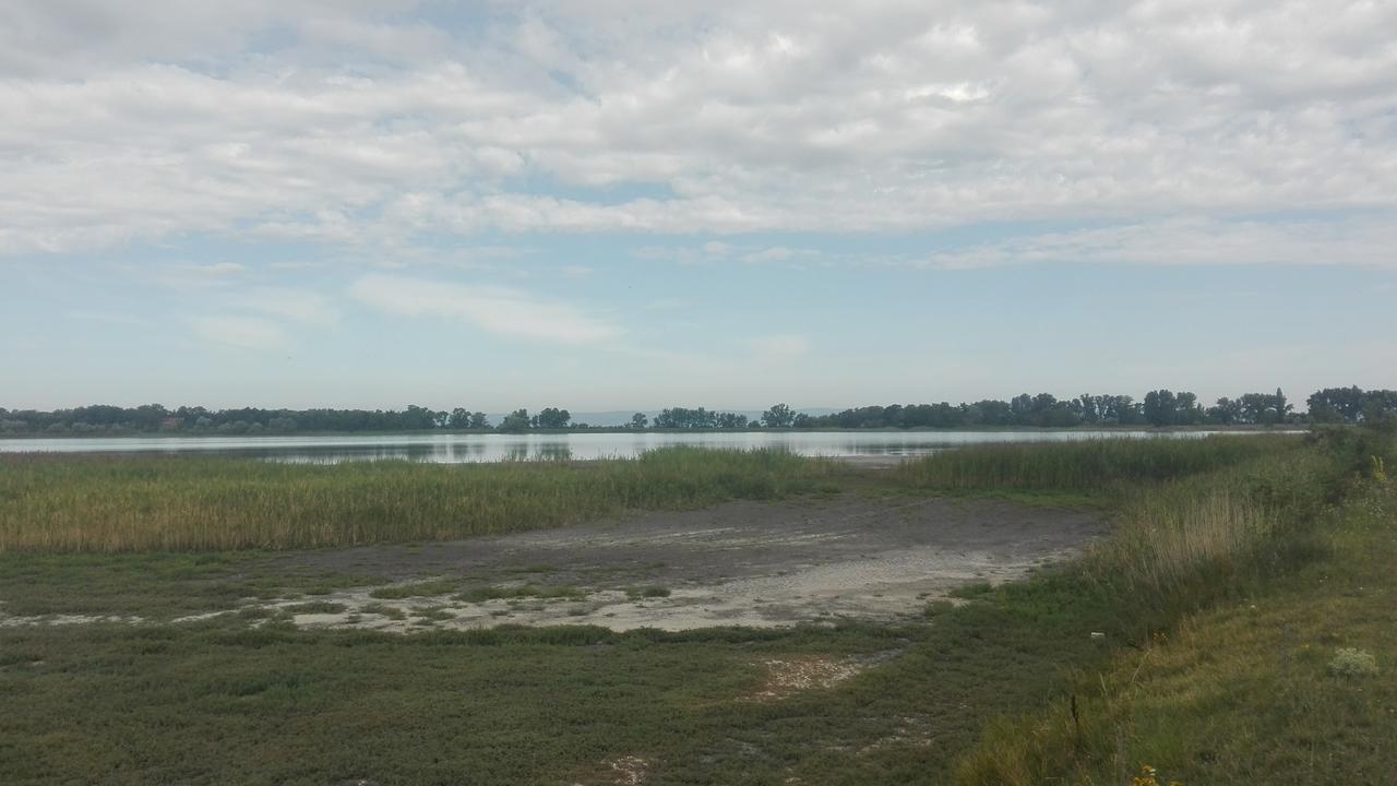 Feldsee * Illmitz
